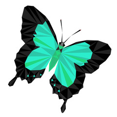 Colorful polygonal illustration of an green and black insect butterfly