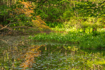 Towada Hachimantai National Park, Hachimantai
