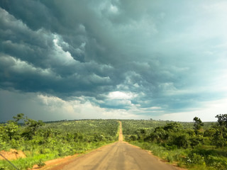 Gravel road stretching ahead into distant horizon with green grass and trees on the sides. 