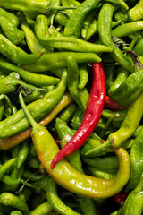 Red chilly pepper and green peppers
