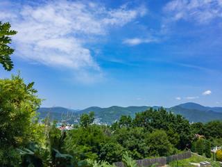 Green zone of trees against the background of mountains and blue sky with clouds