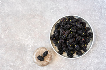 Fresh raw black mulberries in plate on stone background. Top view with copy space