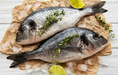 Fresh fish dorado