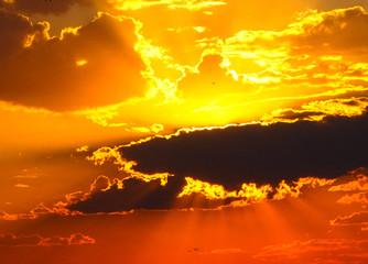 Fototapeta premium Golden sunset over desert scene with clouds