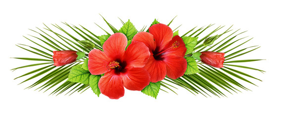Palm leaves and red hibiscus flowers in a line arrangement