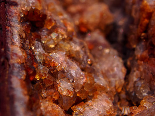 Petrified Forest rock in desert