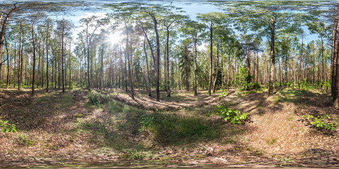 full spherical hdri panorama 360 degrees angle view on gravel pedestrian footpath and bicycle lane path in pinery forest in sunny spring day in equirectangular projection. VR AR content