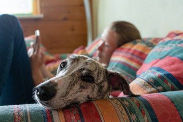 junges Mädchen mit ihrem Hund auf dem Sofa
