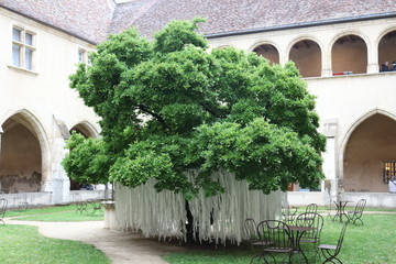 Naklejka premium Monastère Royal de Brou - Le Cloître - Ville de Bourg en Bresse - Département de l'Ain - France