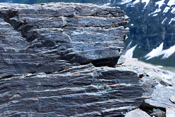 stones mountains bush snow texture red brown