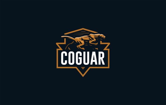The image of a coguar or panter.