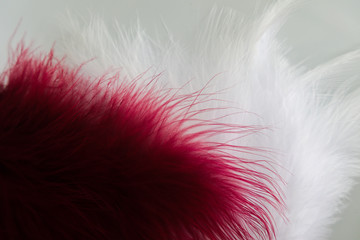 Beautiful abstract texture color red gray blue and black feathers on white isolated background and pattern wallpaper