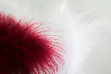 Beautiful abstract texture color red gray blue and black feathers on white isolated background and pattern wallpaper