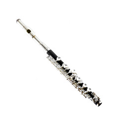 flute isolated on a white background