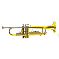 Fototapeta na wymiar golden trumpet isolated on white background