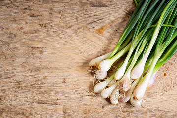 fresh spring onions