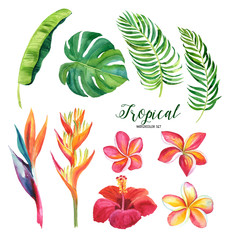 Hand drawing tropical leaves, flowers. Watercolor set. For fabric, cards, invitations, weddings and other