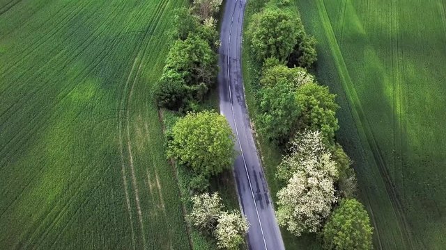 Aerial shot of a road with trees and green fields on the sides zala county hungary europe