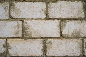 old brick wall covered with mold from old age