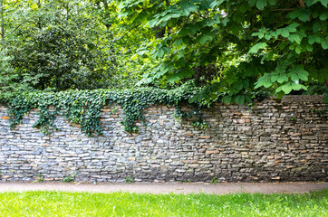Stone wall covered with greenery. Green thickets behind the wall. The path along the wall among the abundant greenery. Stone fence in medieval style