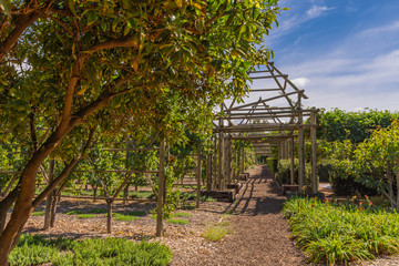 Garden Babylonstoren