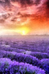 Fototapeta na wymiar Sunset over a violet lavender field watercolor painting wallpaper background