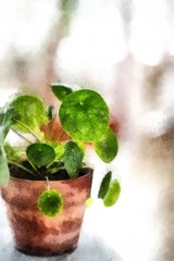 House green Plant potted isolated on blured background watercolor painting wallpaper