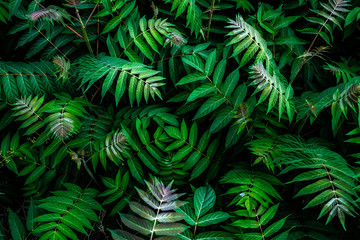 natural leaf pattern