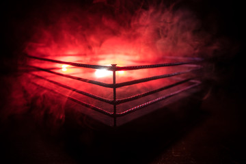 Empty boxing ring with red ropes for match in the stadium arena. Creative artwork decoration - obrazy, fototapety, plakaty