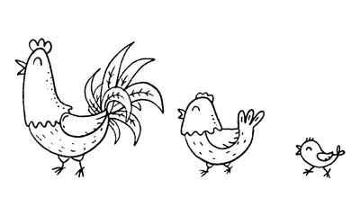 Colorful cartoon chicken family, outline vector illustration