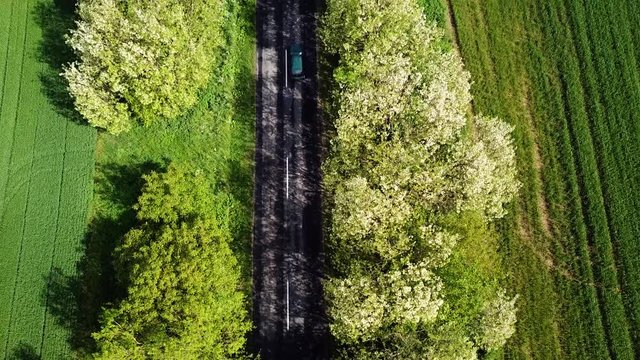 Aerial topdown shot of a road with trees on the sides green car passing by zala county hungary europe