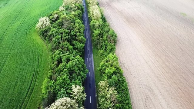 Aerial shot of a road with trees green and yellow fields on the sides zala county hungary europe