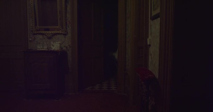 Door of old haunted bathroom opening itself in an abandoned house. Ghost, Spirit or Demon. Gold mirror on the side and old objects. Old chestnut wood and old scary wallpaper. Shot on RED EPIC 6K.