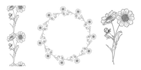 vector black and white contour flower arrangement with chamomile flowers