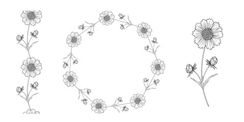 vector black and white contour flower arrangement with chamomile flowers