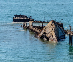 View Of Old Shipwreck S.S. Palo Alto