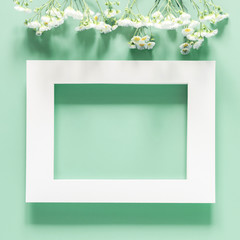 Beautiful flowers composition. Blank frame for text, spring and summer chamomile white flowers on pastel mint background. Flat lay, top view, copy space