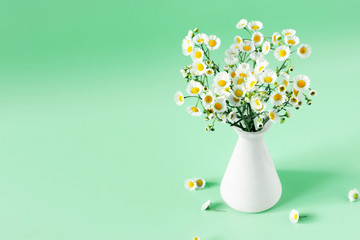 Elegant floral composition. Chamomile white flowers in vase on pastel blue background. copy space