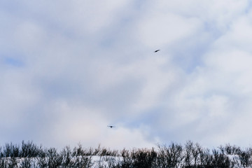 tundra under a thick layer of snow surrounded by hills and trees on a frosty winter day