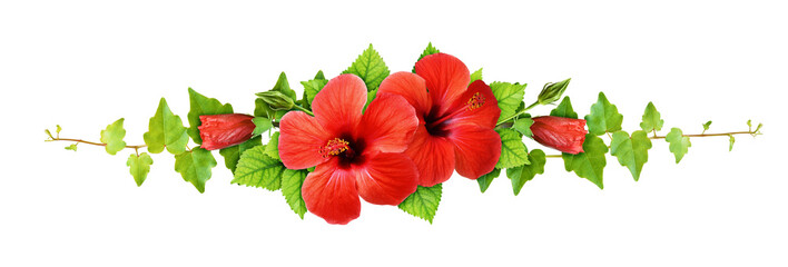 Ivy leaves and red hibiscus flowers in a line arrangement