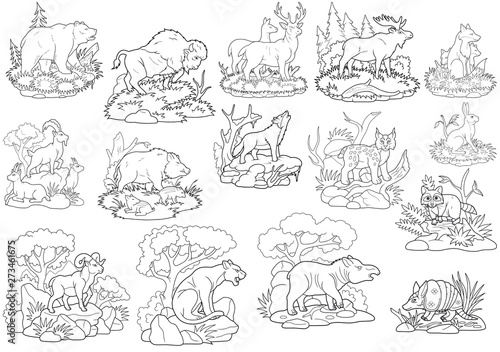 Download Wild Animals Coloring Book Image Set Wall Mural Wallpaper Murals Fargon