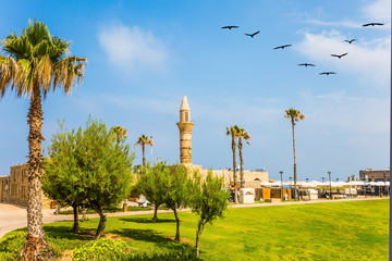 Obraz premium Flock of migratory birds flies in the blue sky