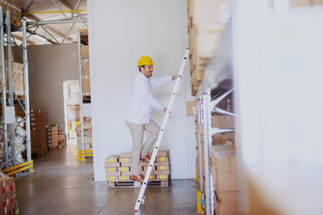 Smiling young Caucasian male blue collar worker climbing ladder and checking on goods in boxed in...