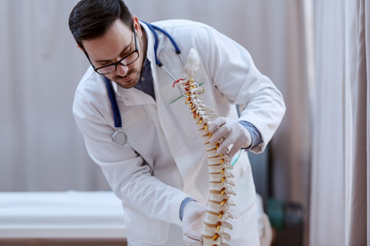 Young serious perspective Caucasian doctor in white uniform and with stethoscope around neck holding spine model while standing in hospital.