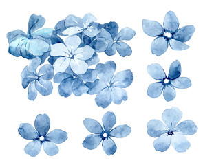 Set of watercolor blue flowers. Poppies, anemones and summer flowers. Summer decoration print for wrapping, wallpaper, fabric.