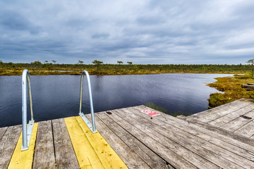 Access to a lake in the bog of Soomaa National Park, Estonia.