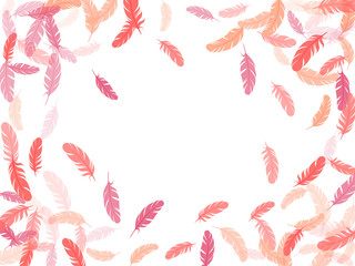 Flying feather elements airy vector design.