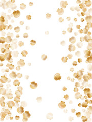 Gold seashells vector, golden pearl bivalved mollusks. 