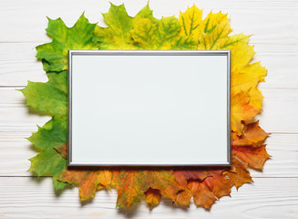 Autumn leafs colorful gradient composition with picture frame copy space.