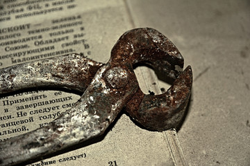 Old rusty ticks on an old newspaper.